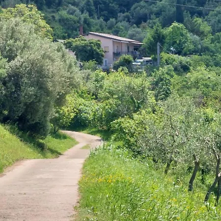 Apartma Lili 아파트 *